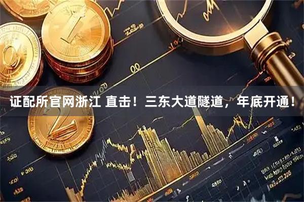 证配所官网浙江 直击！三东大道隧道，年底开通！