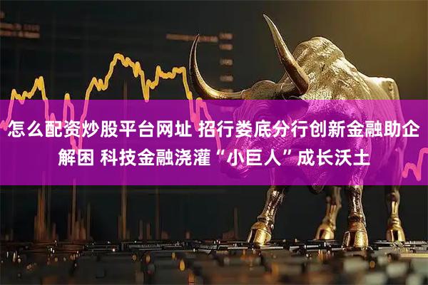 怎么配资炒股平台网址 招行娄底分行创新金融助企解困 科技金融浇灌“小巨人”成长沃土