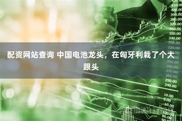 配资网站查询 中国电池龙头，在匈牙利栽了个大跟头